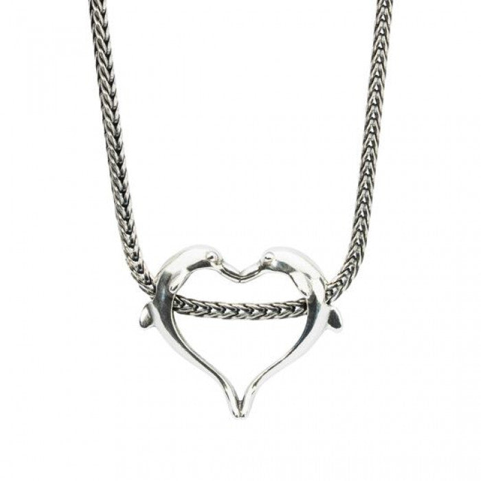 Dolphin heart