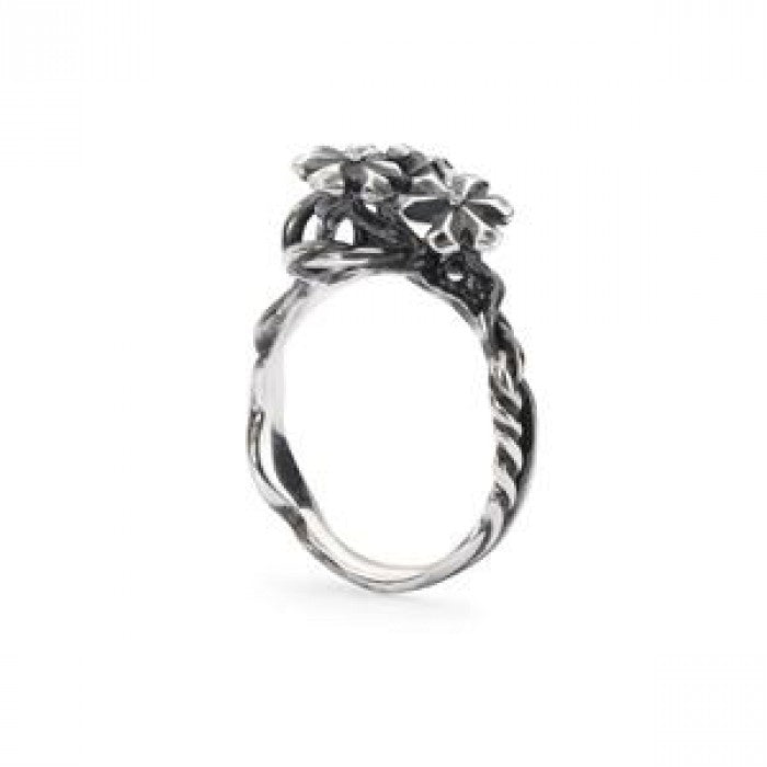 Anello luce di stella