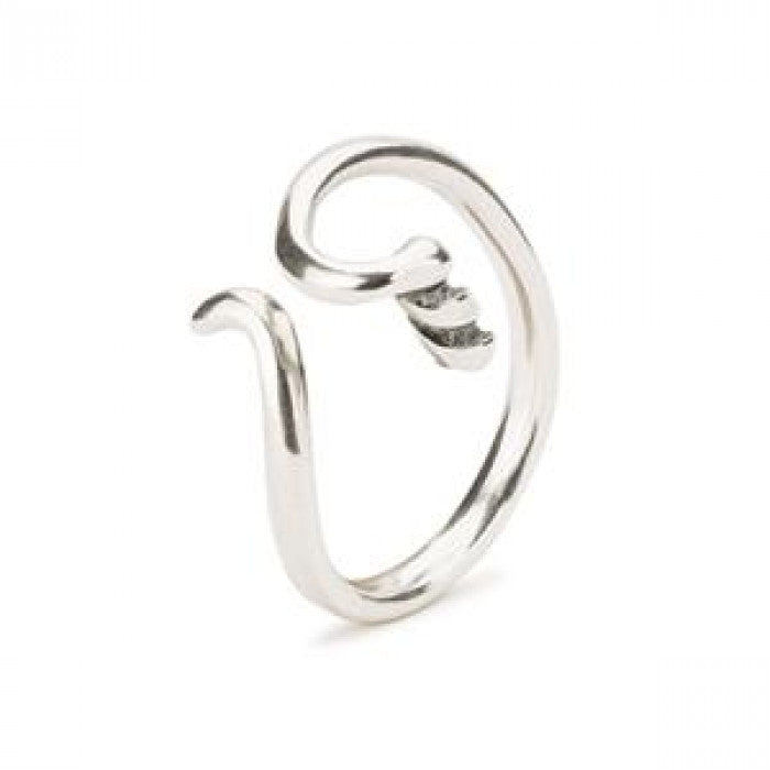 Anello fantasia