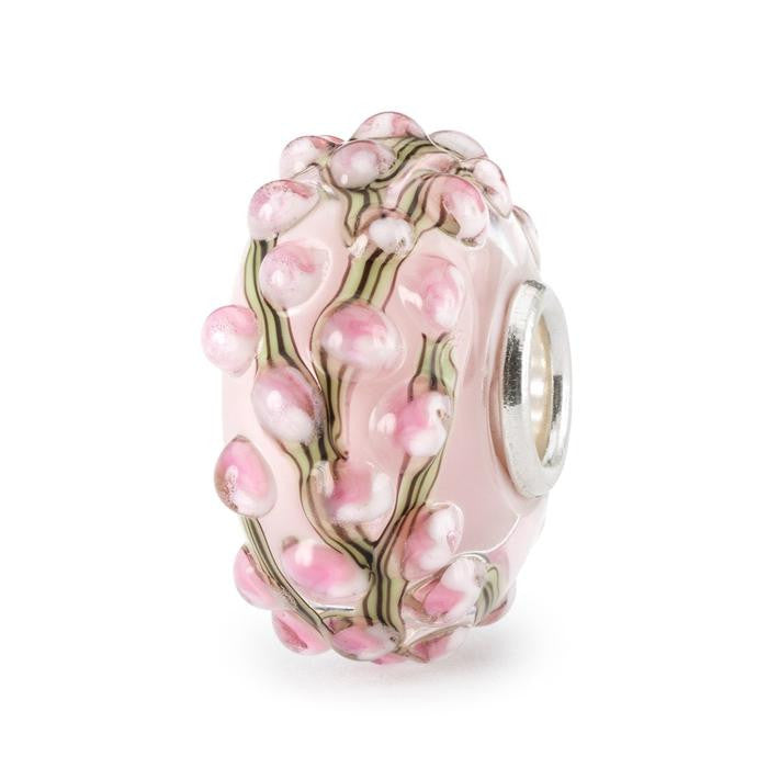 Boccioli Rosa