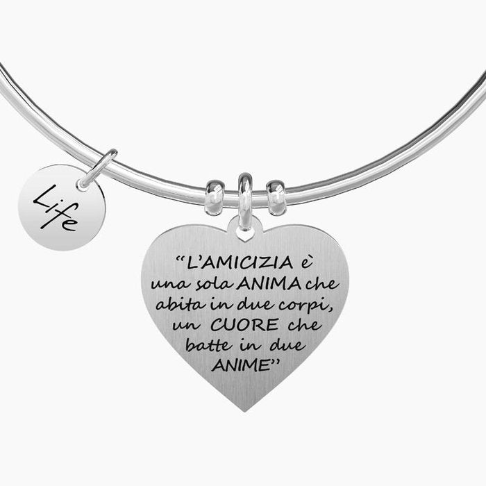 L'AMICIZIA È UNA SOLA ANIMA … ARISTOTELE