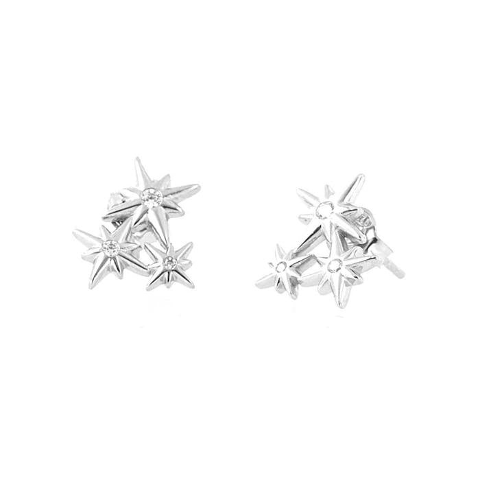 Orecchini In Argento 925