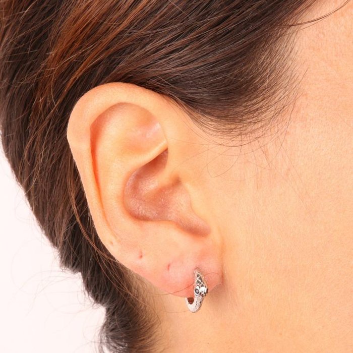 Orecchini in Argento 925