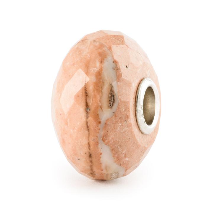 Fossil Shell