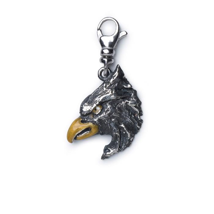 Aquila