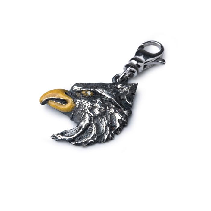 Aquila