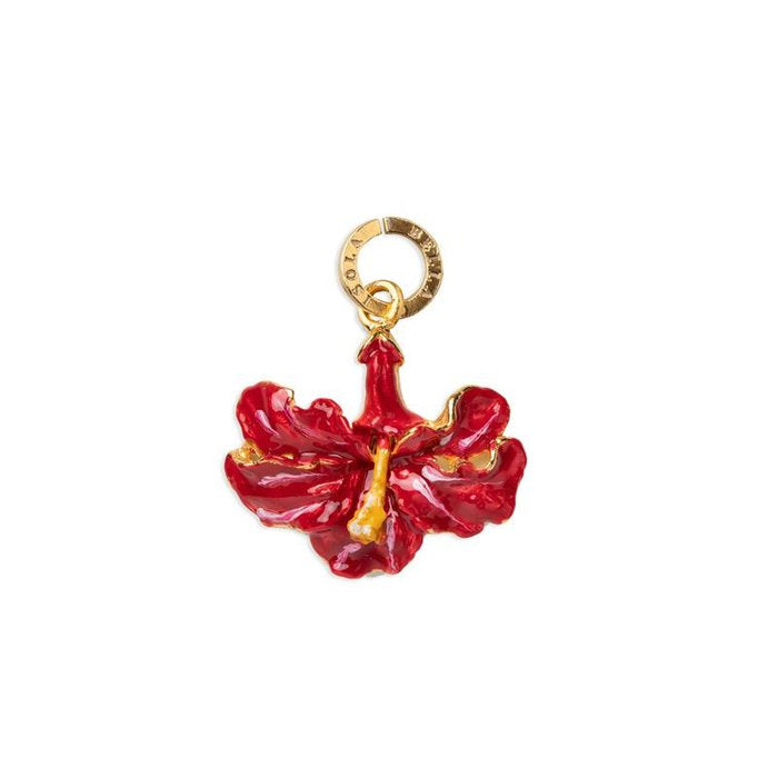 Hibiscus Charm