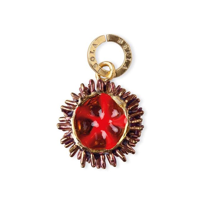 Charm Riccio Aculei